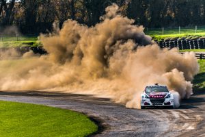 Peugeot 208 WRX Rallycross