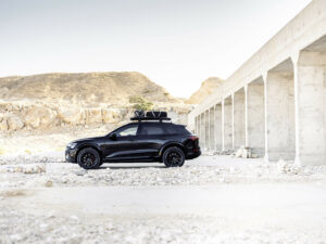 Audi Q8 e-tron edition Dakar © Audi AG