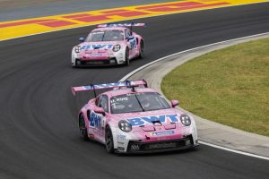 Porsche 911 GT3 Cup, BWT Lechner Racing (#1), Harry King (UK), Porsche Mobil 1 Supercup 2024, Budapest (H)