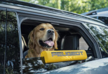 Peugeot E-5008 Dog Edition: Konzeptfahrzeug für Reisen mit Hund Peugeot e-5008 Dog Edition