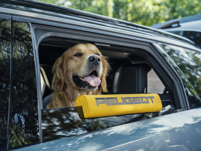 Peugeot e-5008 Dog Edition Peugeot e-5008 Dog Edition